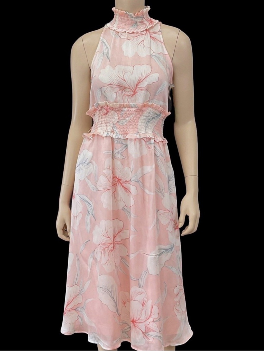 NWT ryegrass Pink Blush Floral Dress